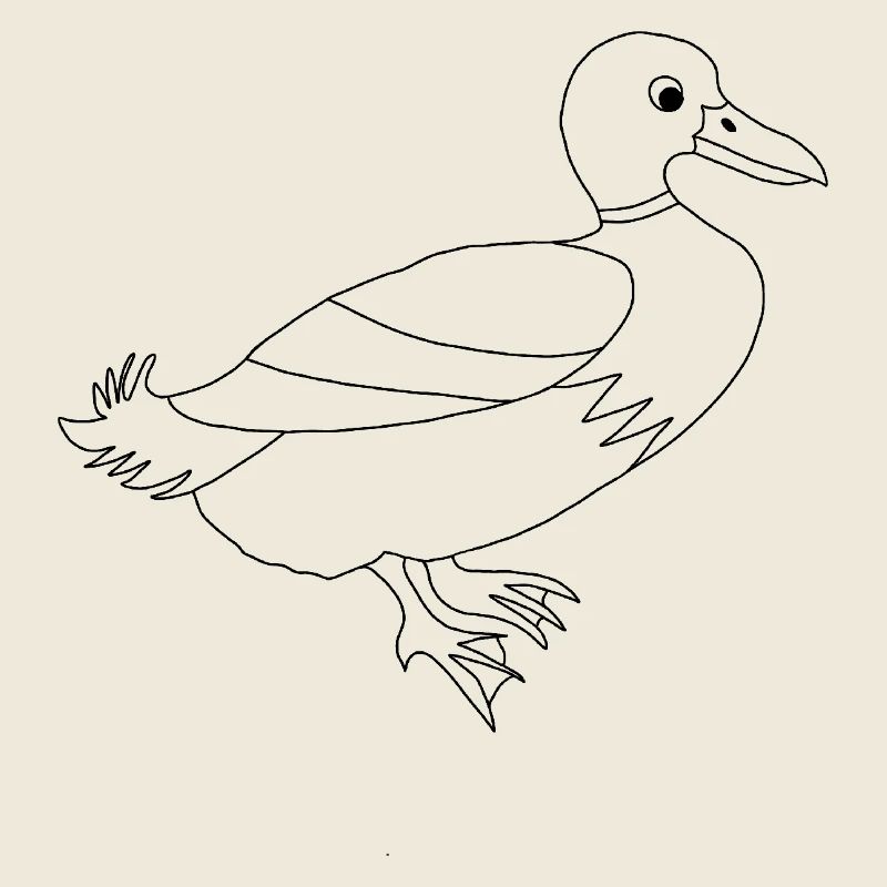 Duck / - Graphic black and white