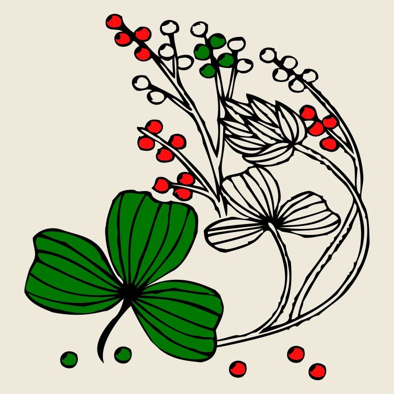 Fleurs sauvages aux baies rouges et vertes