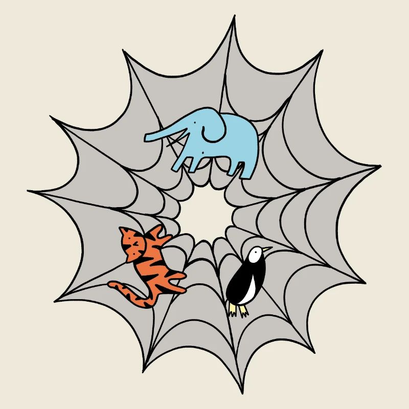 Spinnennetz 