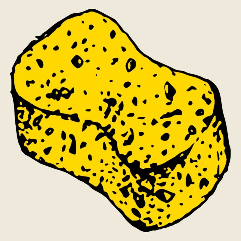 sponge
