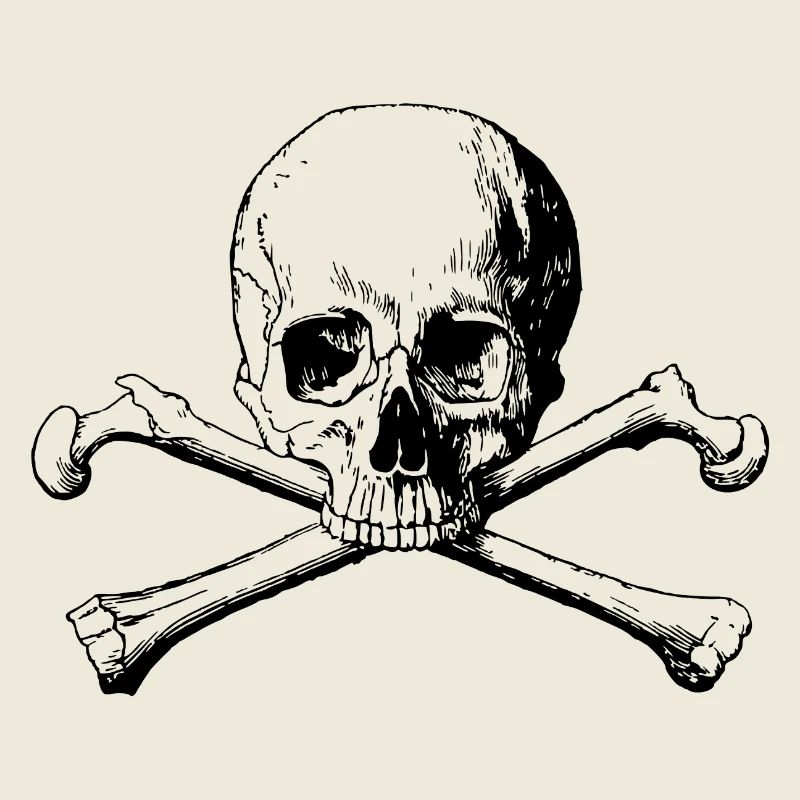 Skull with crossed bones black