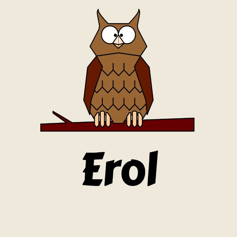 Enfants École Naissance Hibou motif Erol
