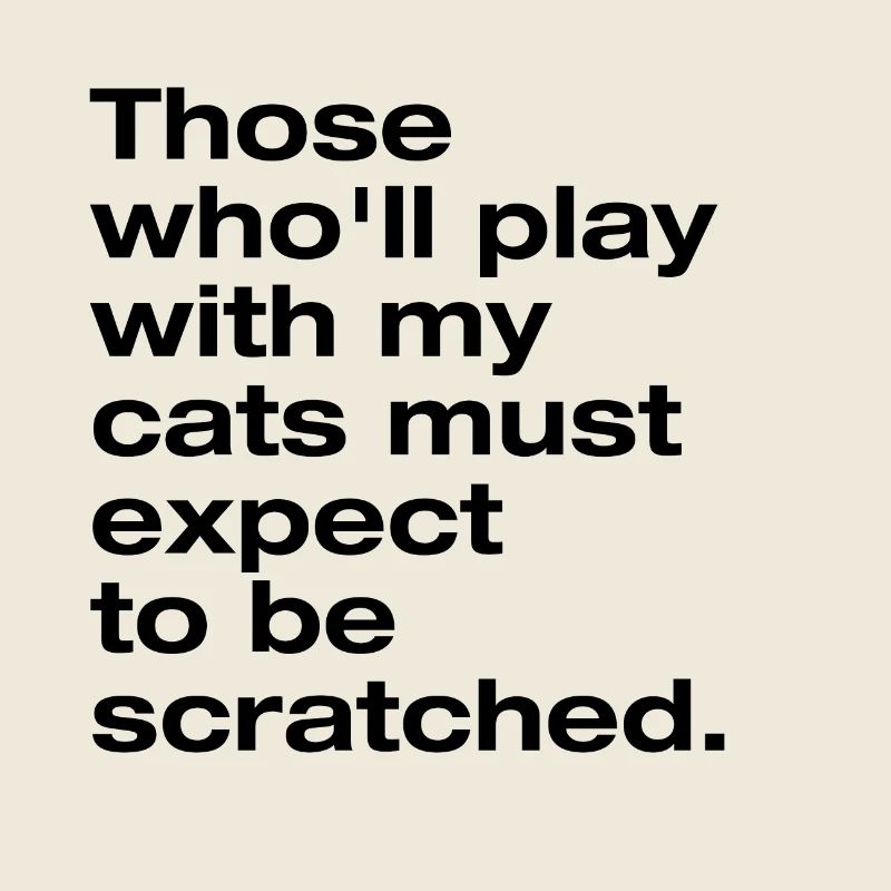Play with my cat and you get scratched