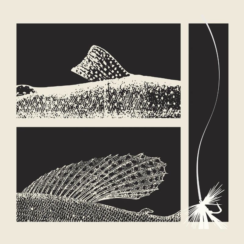 Modell 44 - Äsche und Forelle