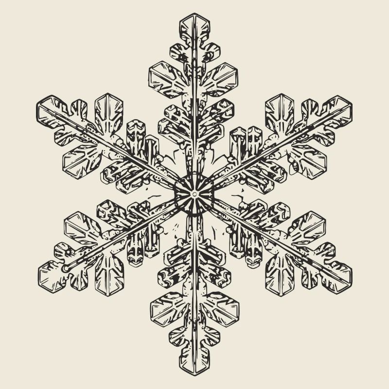 snowflake 6 black