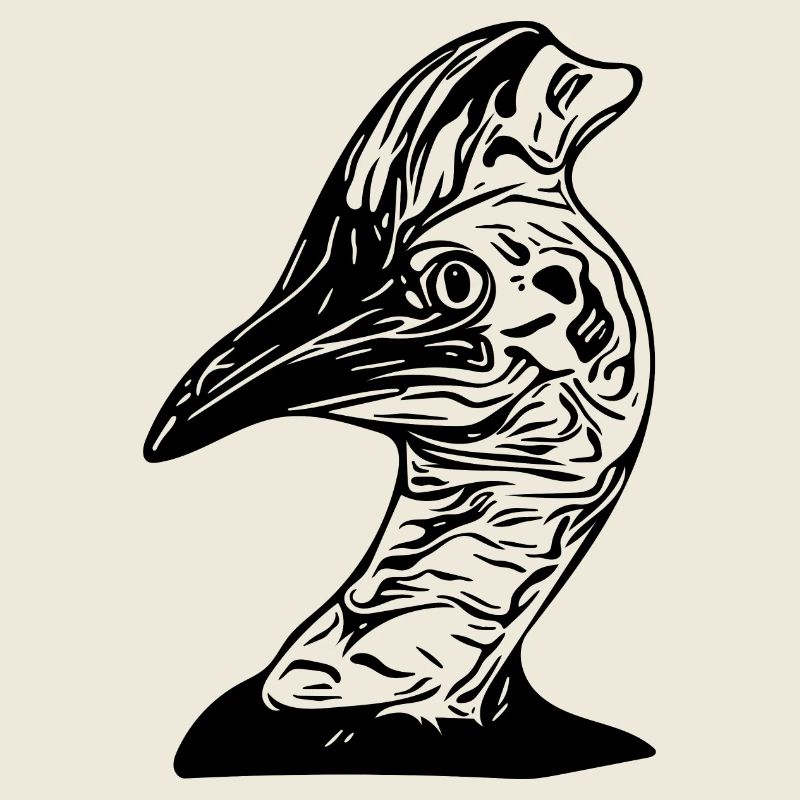 Australischer Kasuar Laufvogel