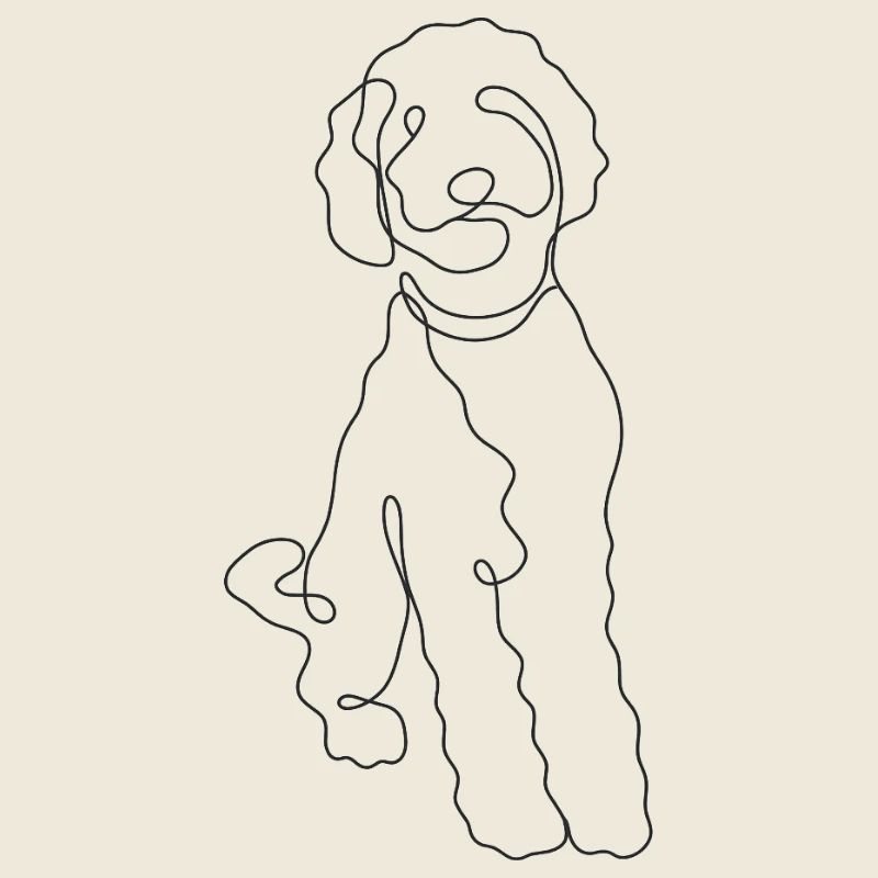 Laisse chien Minimaliste labradoodle