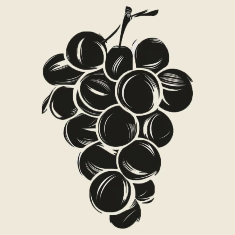 Grapes Pencil Sketch