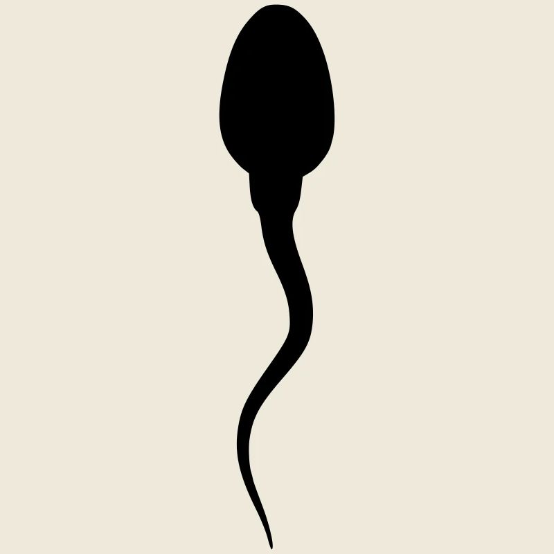 spermatozoide