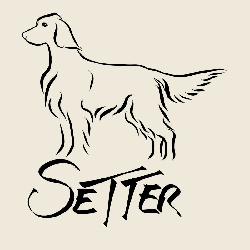 Setter debout