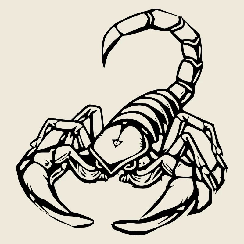 Scorpio Zodiac T-shirt Gift November
