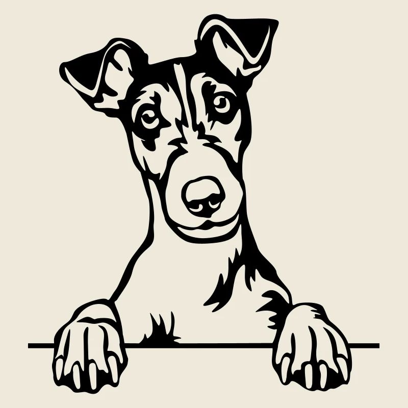 Fox Terrier Head