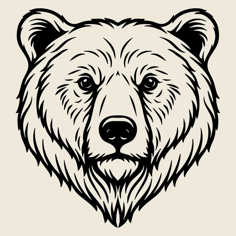 Bear Illustration