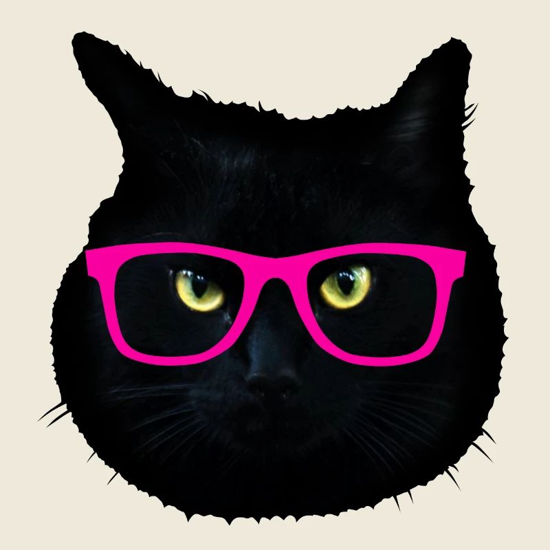 chat noir fantaisie lunette de soleil