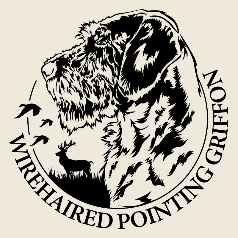 Wirehaired Pointing Griffon Portrait Hund Wilsigns