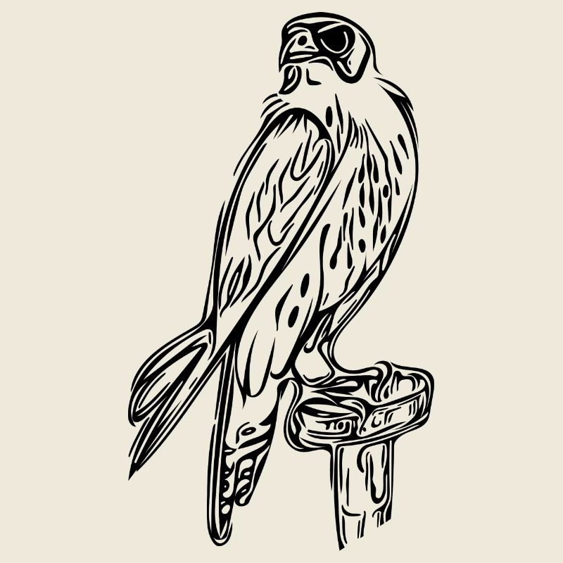 Faucon élégant avec des ailes et des griffes