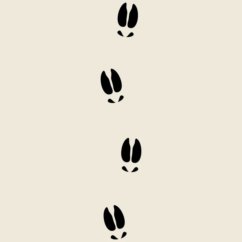 Moose tracks