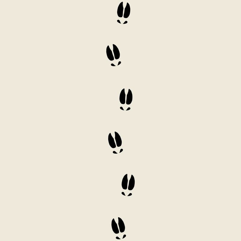 Moose tracks
