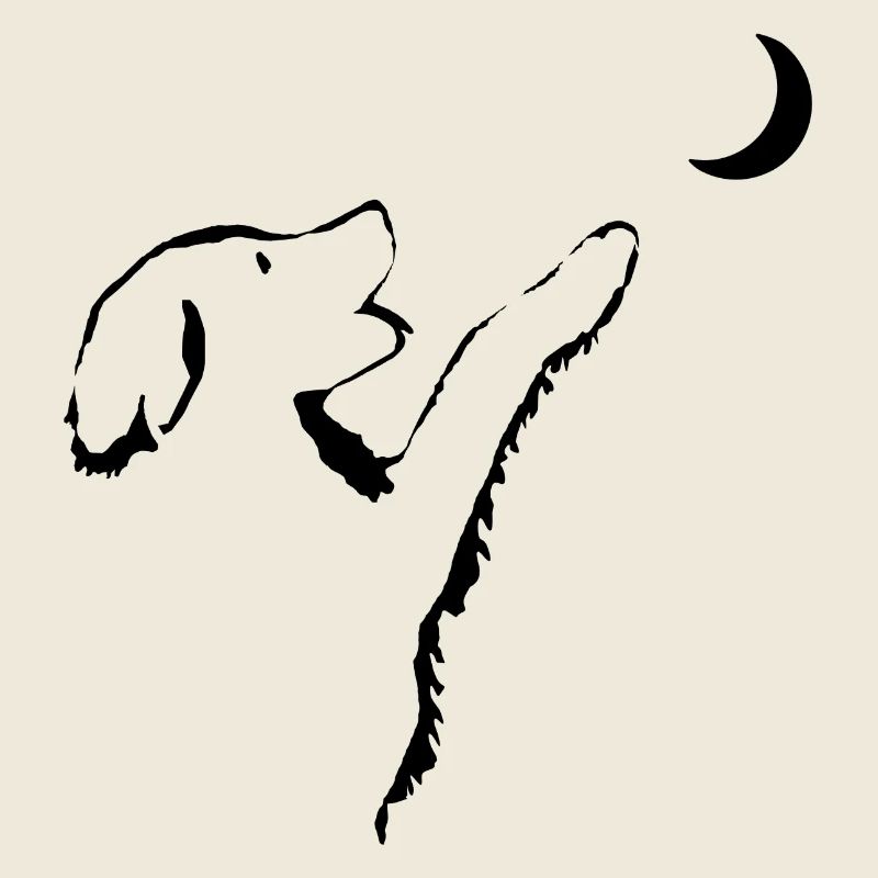 Chien regarde la lune