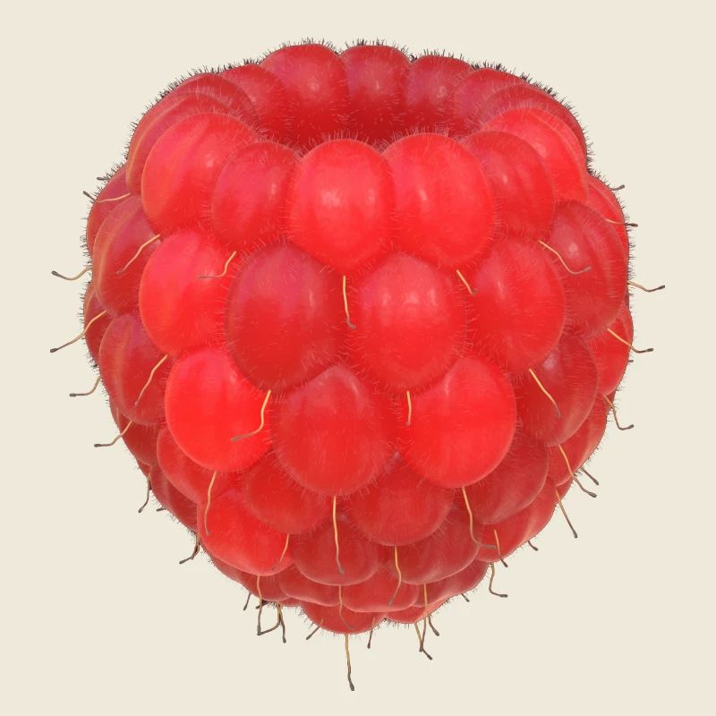 Raspberry Cluster Pattern