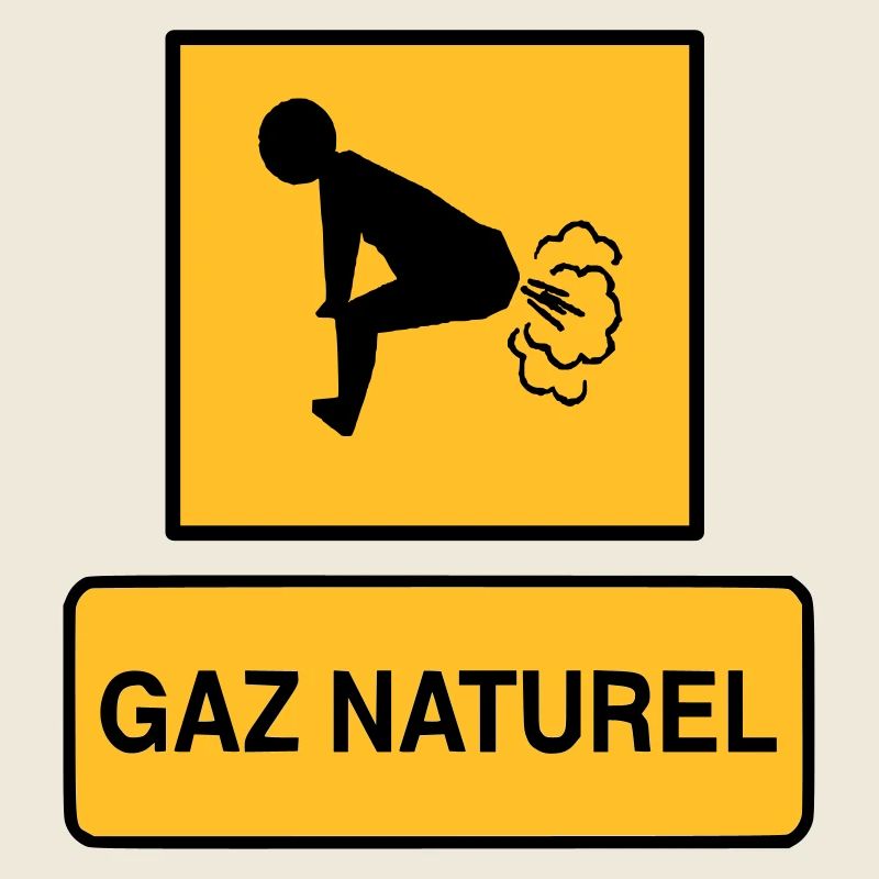 Gaz naturel