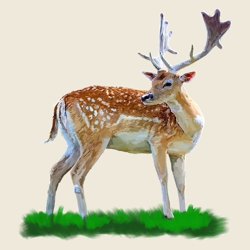Waldhirsch Aquarellstil
