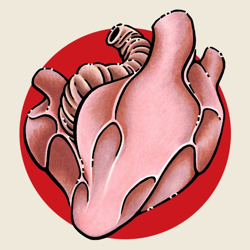 Herz Heart
