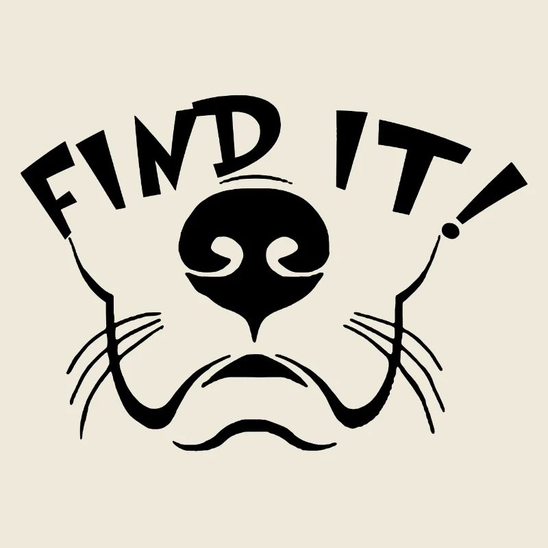 TShirt Aufdruck FIND IT