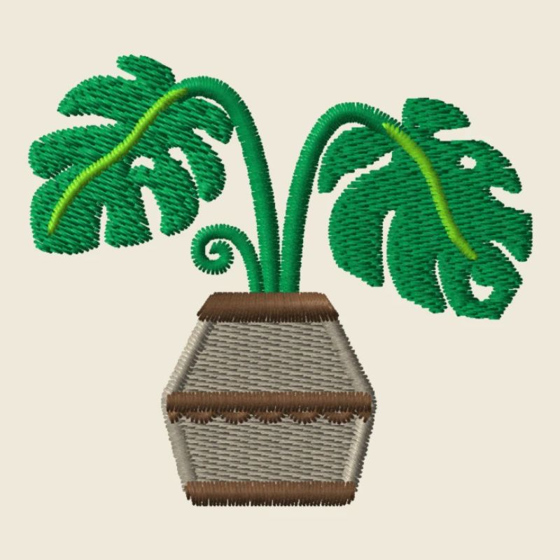Plante en pot 1