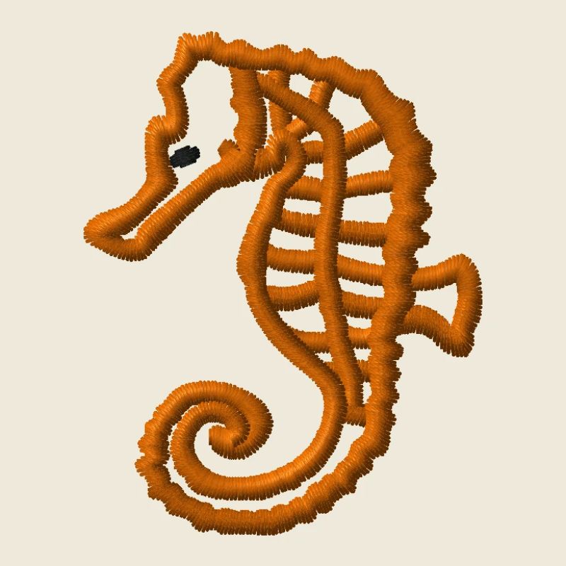 Hippocampe brodé