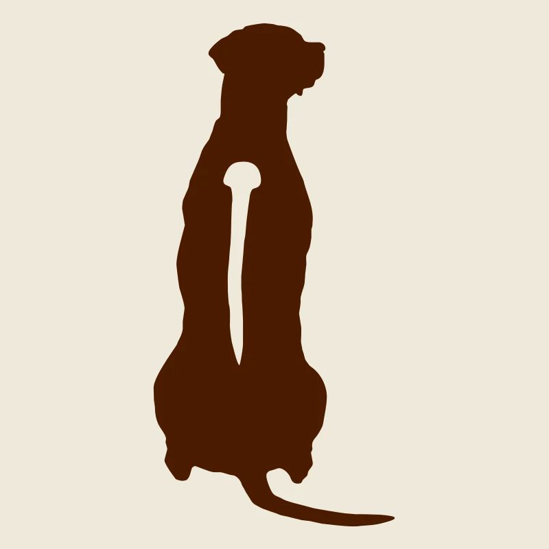 Rhodesian Ridgeback Back