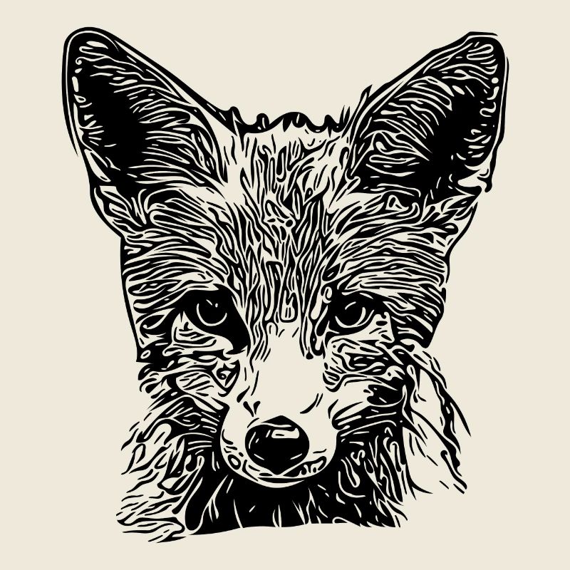 Niedliche Junger Fuchs Zeichnung