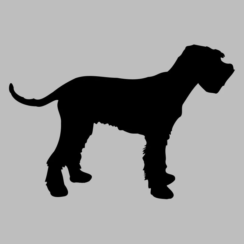 schnauzer géant