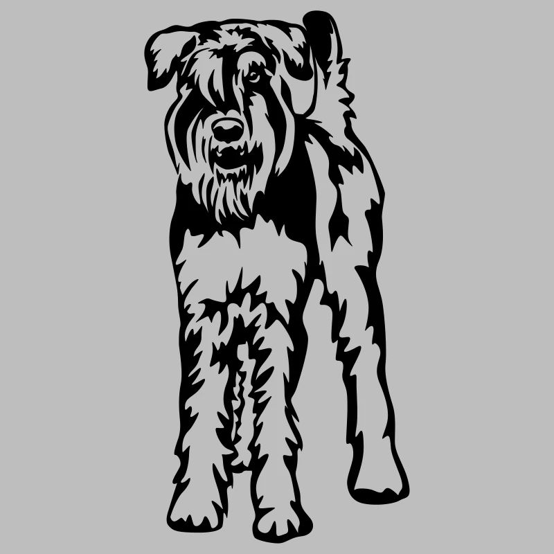 Schnauzer géant