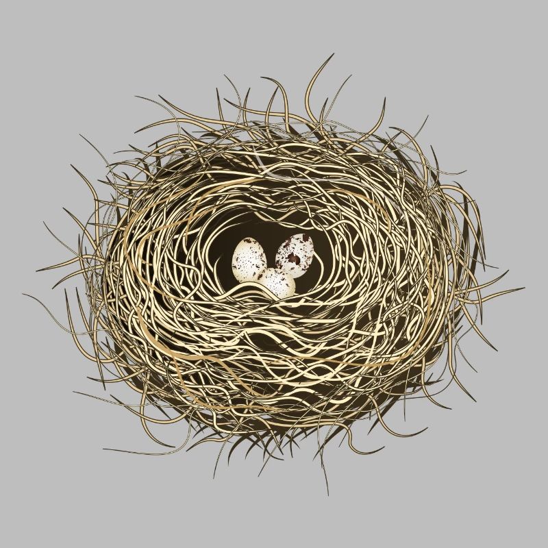 Vogelnest oder Osternest mit drei Vogel Eier