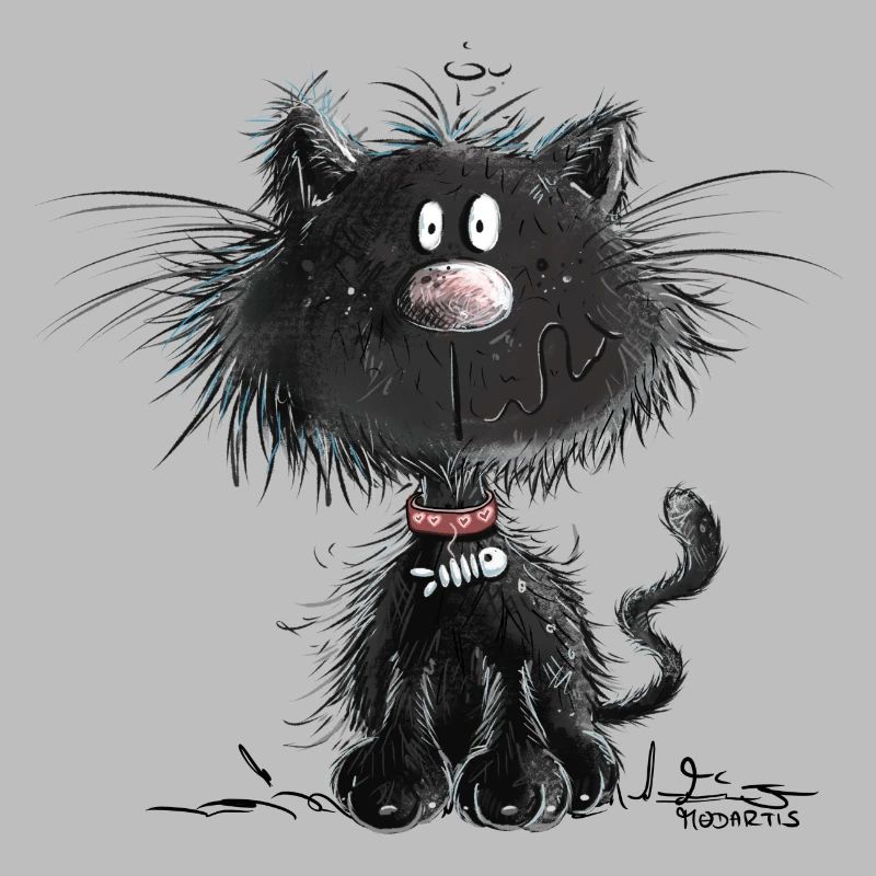 Droll Black Cat