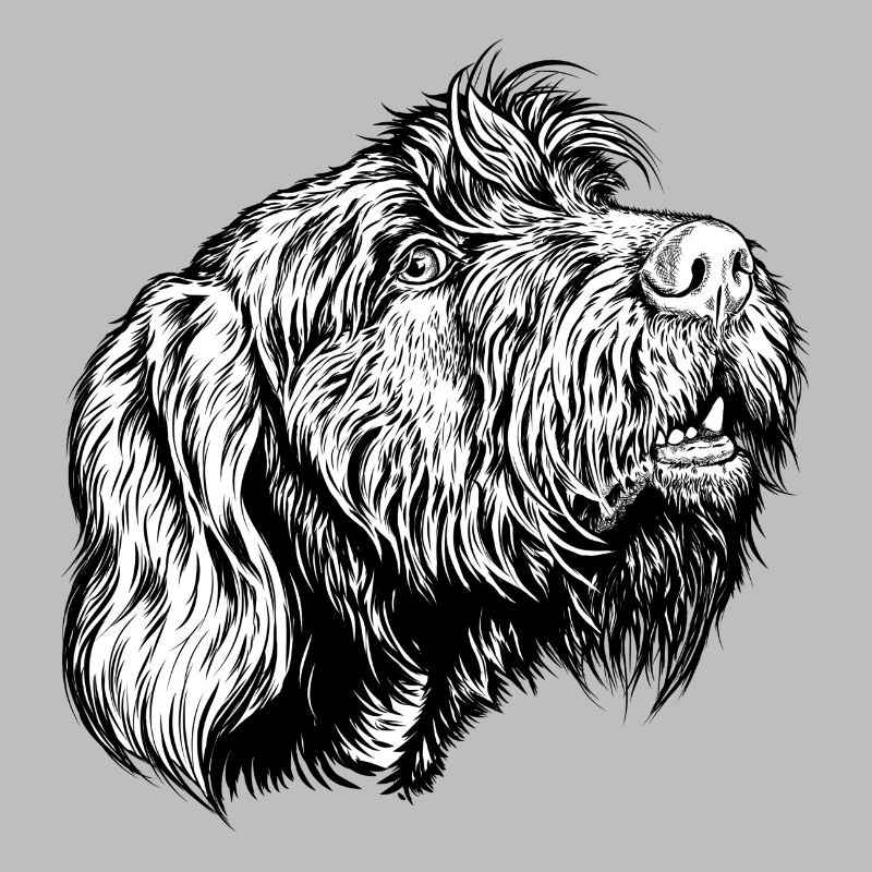 Pudelpointer redet mit