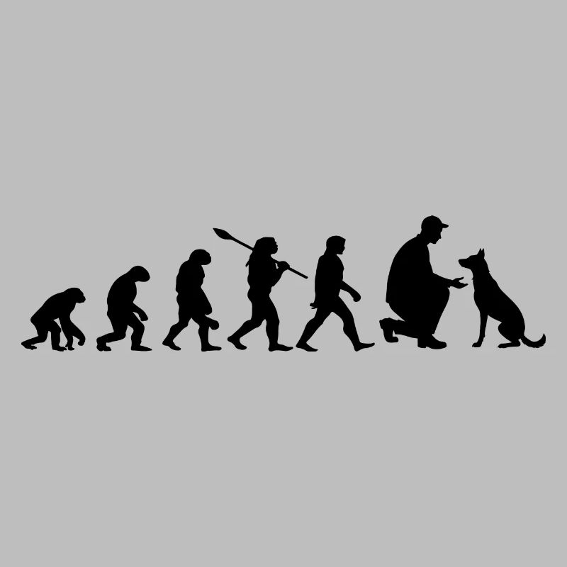 Evolution Lustiger Belgischer Malinois-Schäferhund