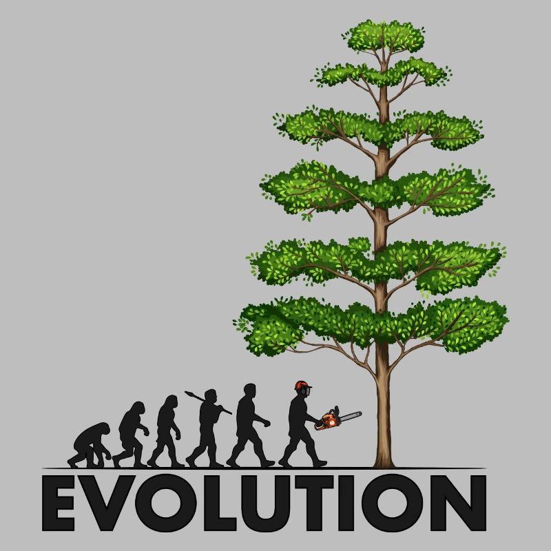 Tronçonneuse Evolution Grey Big Tree