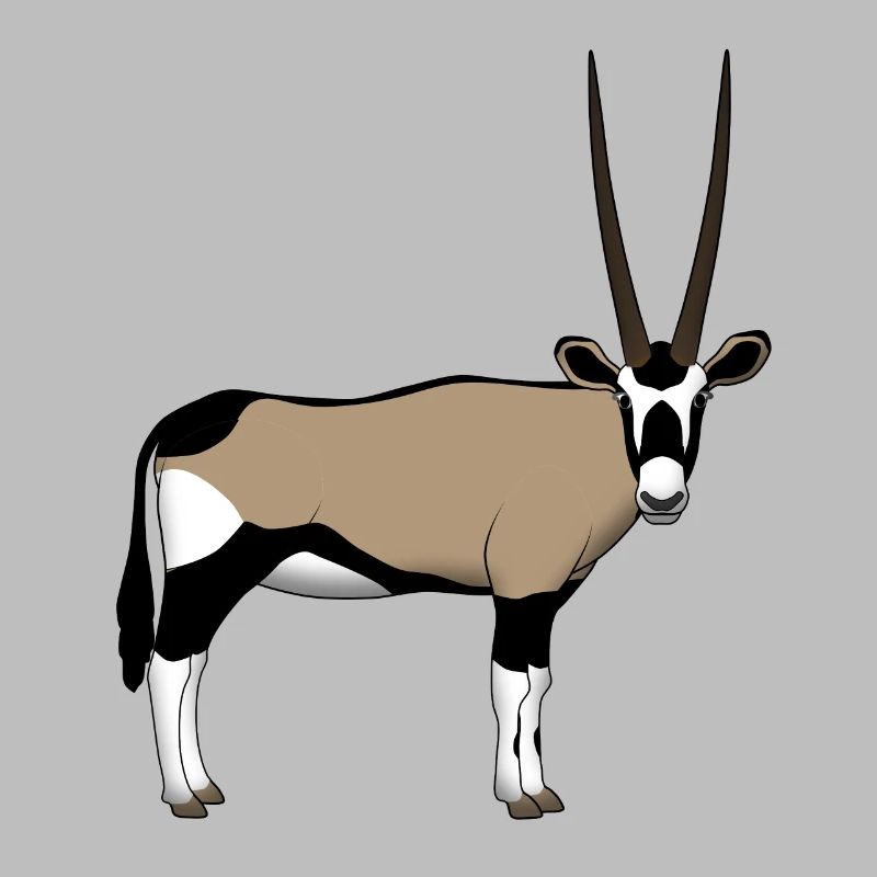 Oryx head front