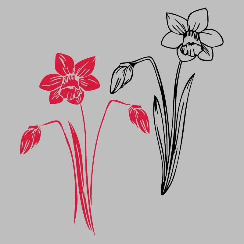 Jonquilles