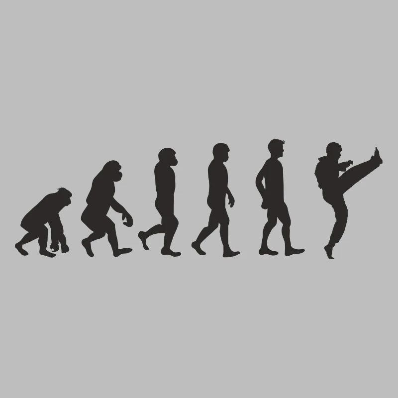 Evolution Karate