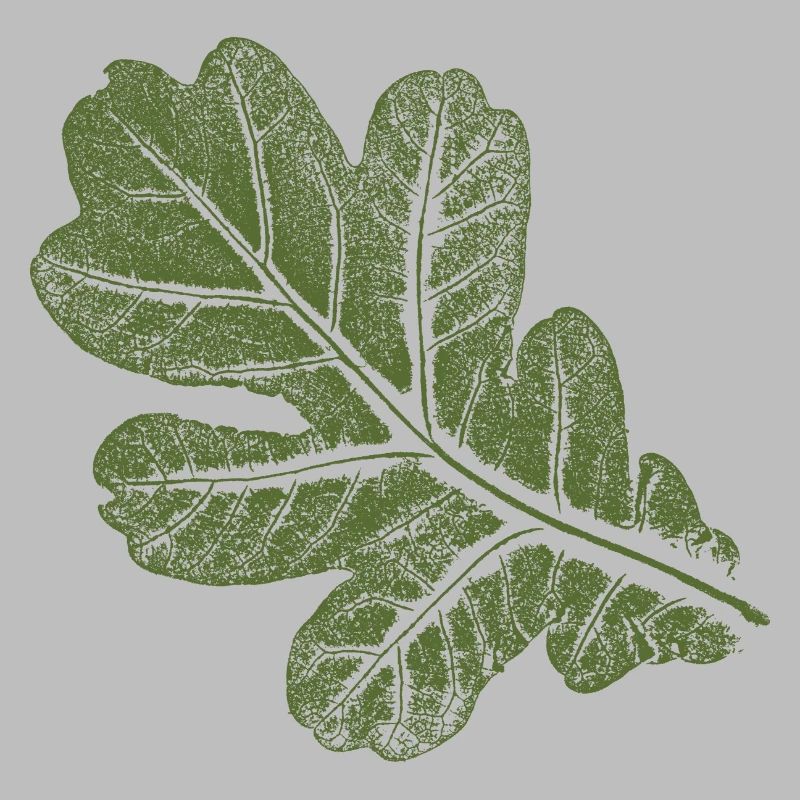 Eichenblatt - Blatt/ Eiche Khaki