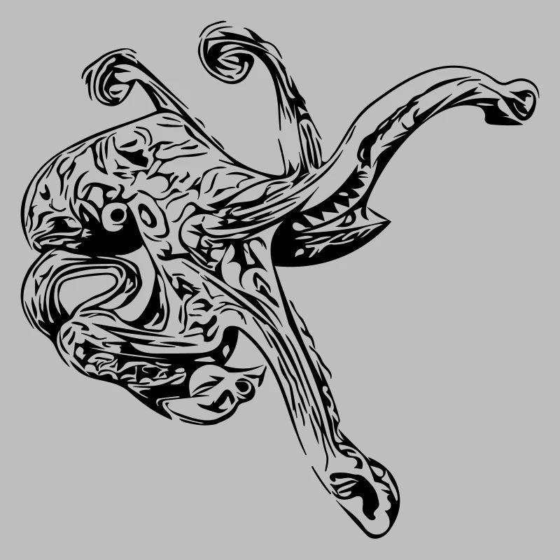 Octopus Octopus octopus squid