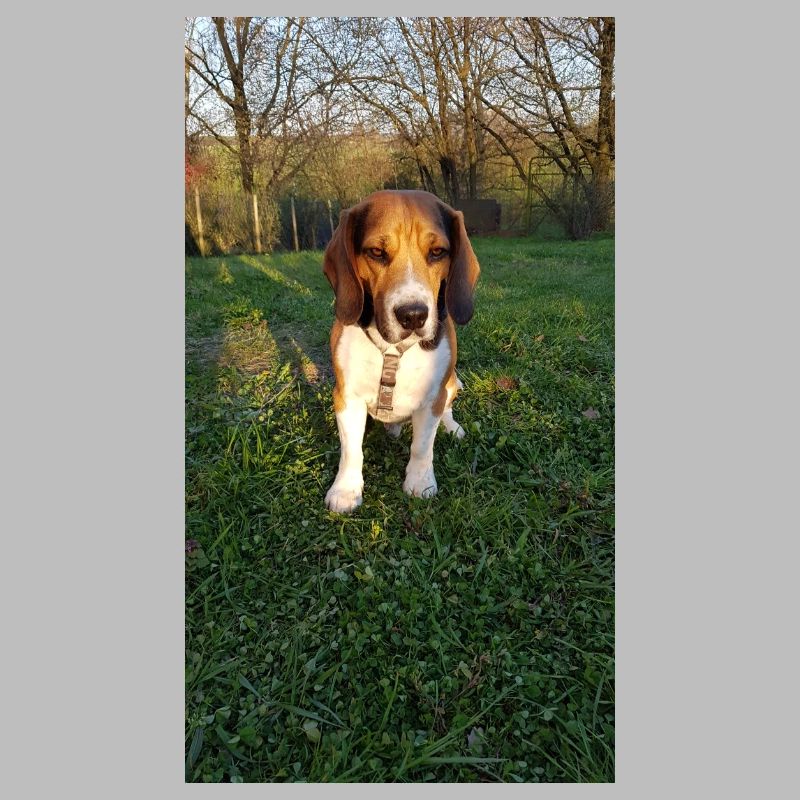 BD2D42FA 2360 40FD B0CB 5113CCC2E731