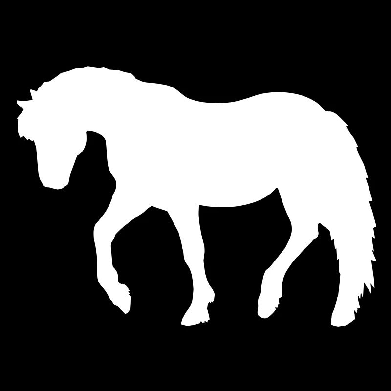 Poney