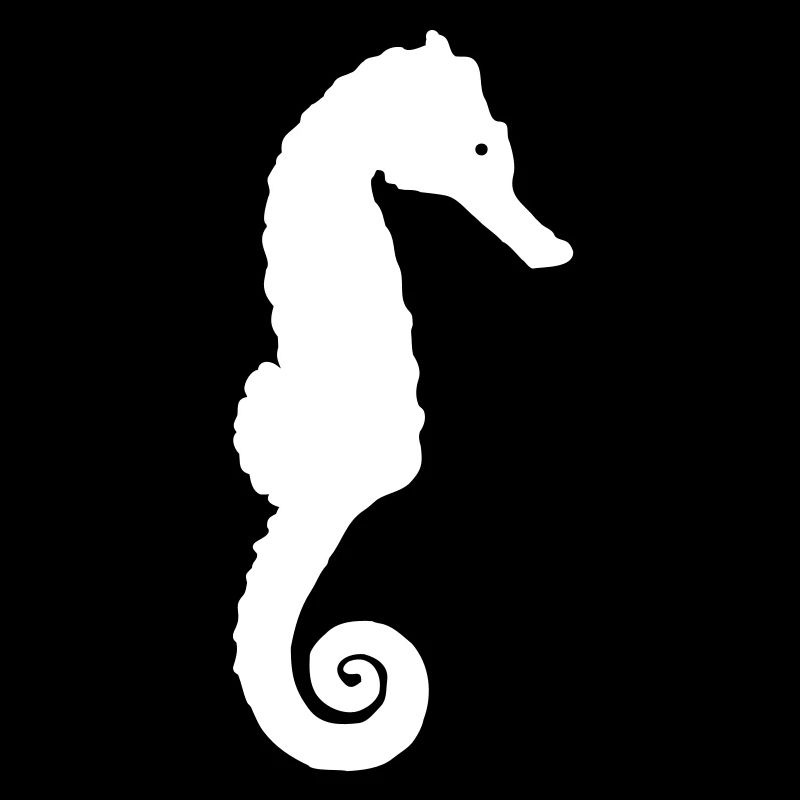 seepferdchen