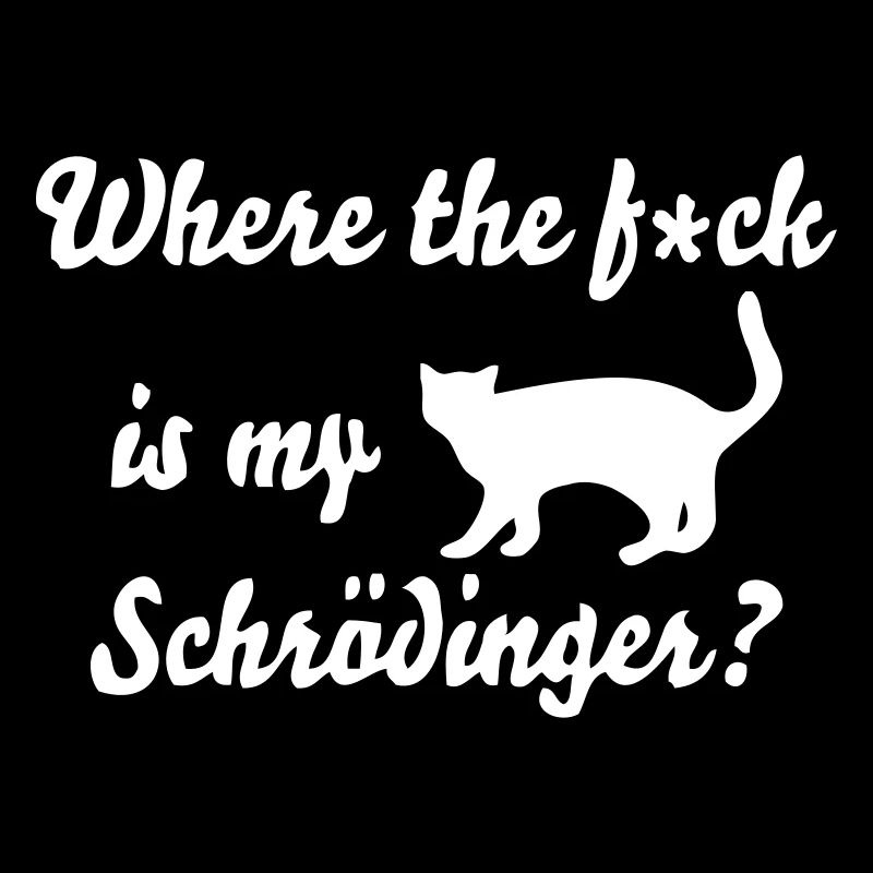Chat de Schrödinger