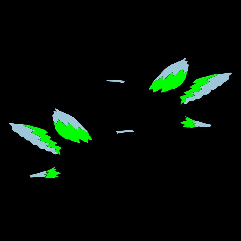 Colibri 02