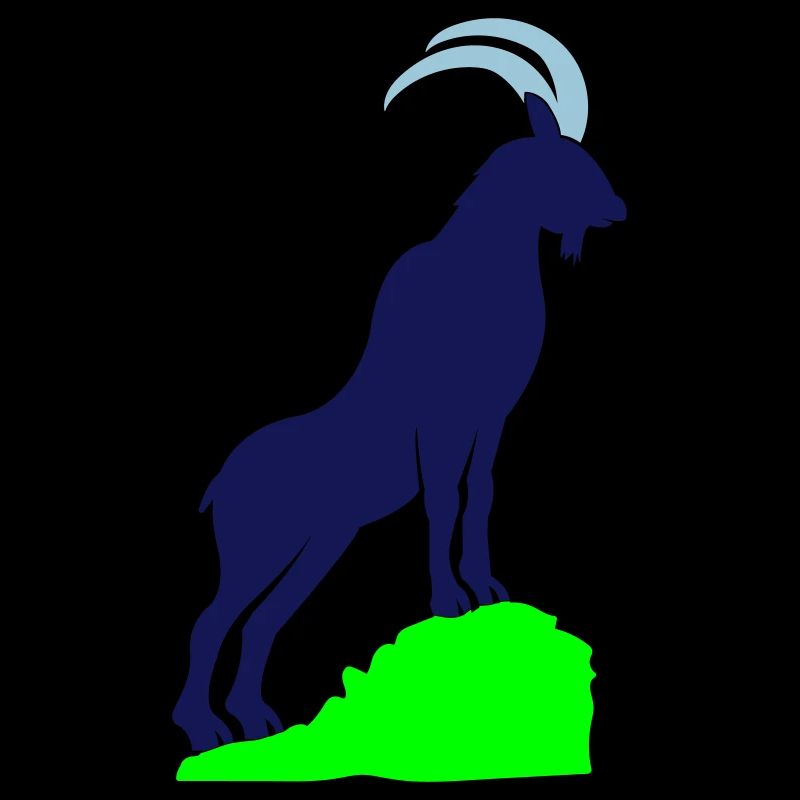 Capricorne 02